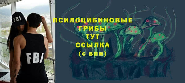 соль ск Елизово
