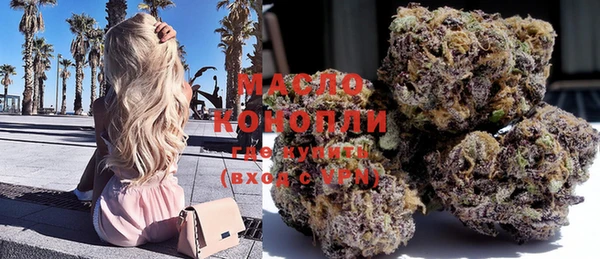 молекула духа Елабуга