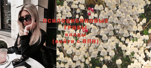 молекула духа Елабуга
