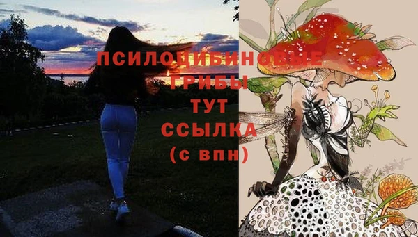 соль ск Елизово