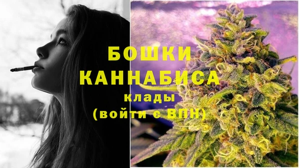 молекула духа Елабуга