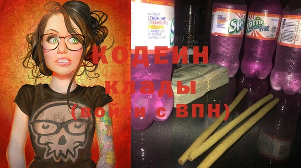 соль ск Елизово