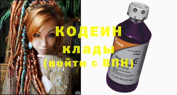 молекула духа Елабуга