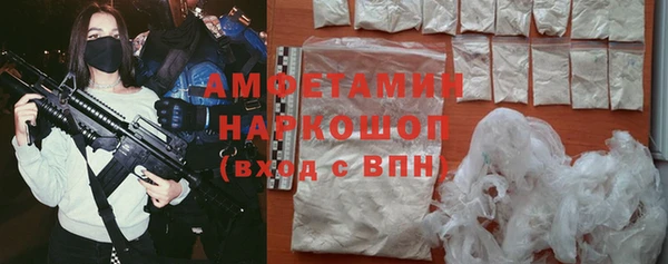 молекула духа Елабуга