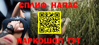 МДПВ Краснознаменск