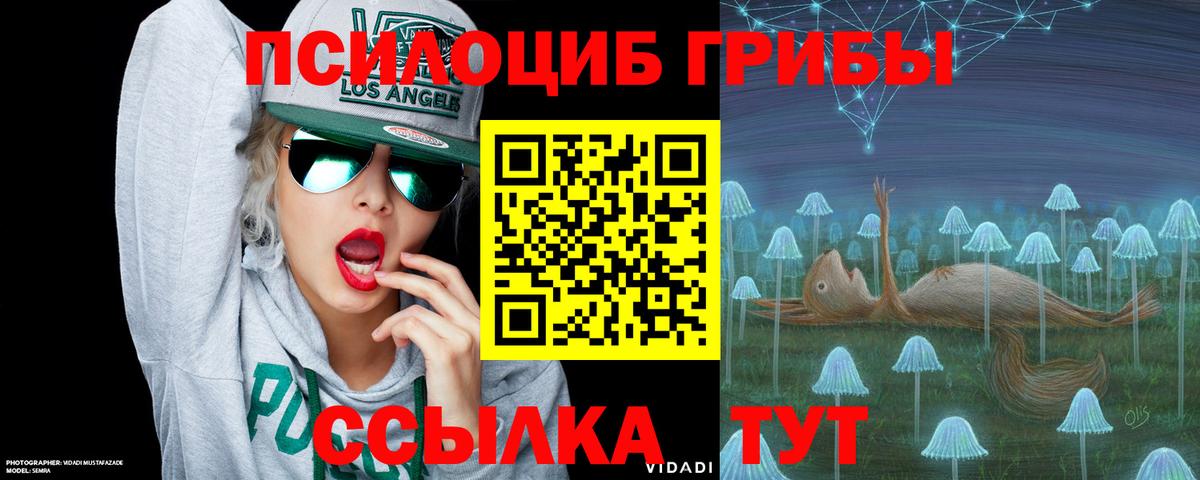 Галлюциногенные грибы Magic Shrooms Калач-на-Дону